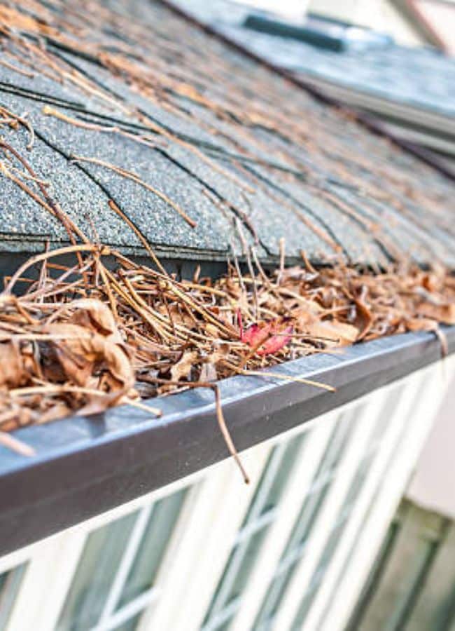 gutter cleaning company near me in roseville ca 068