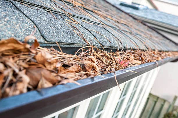 gutter cleaning service in my area