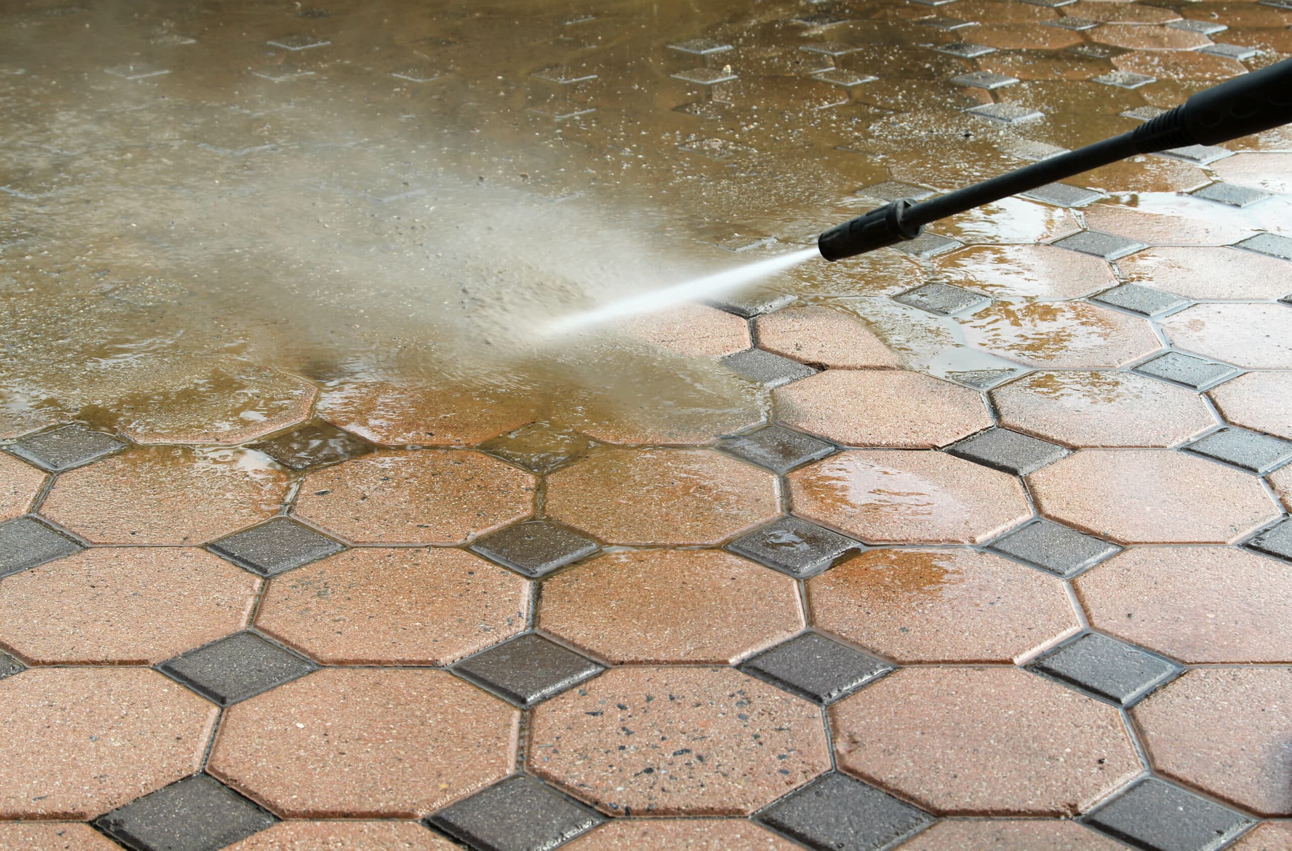 Paver Cleaning Service